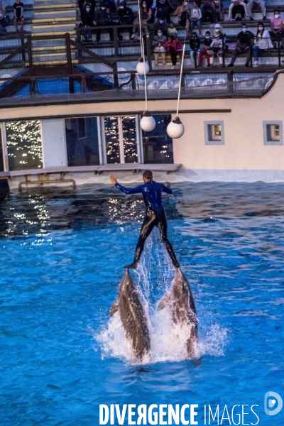 Delphinarium du Parc Astérix