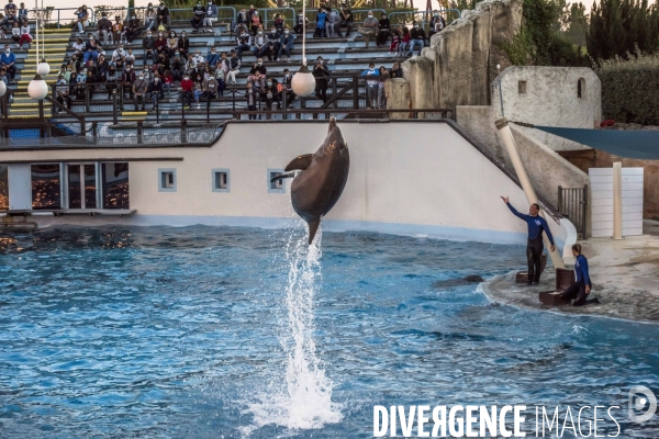 Delphinarium du Parc Astérix