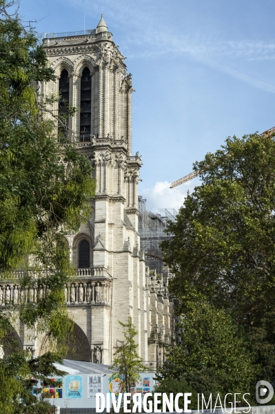 Chantier de la cathédrale Notre-Dame