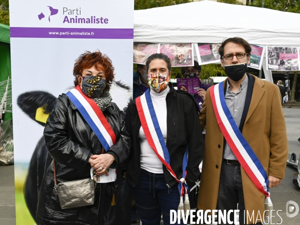 Animaux : Marche Contre La Fourrure 2020. Animals: March Against Fur 2020.