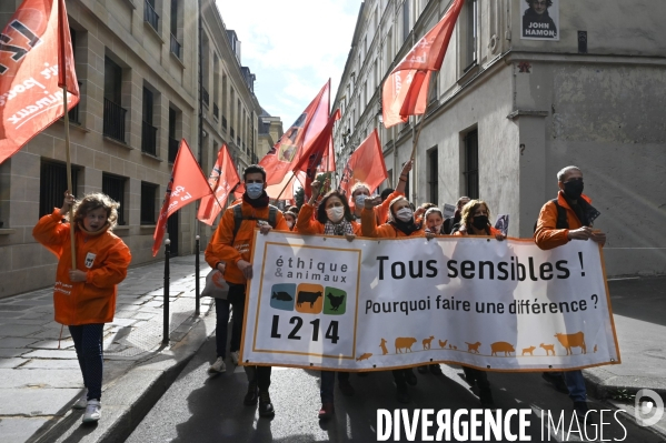 Animaux : Marche Contre La Fourrure 2020. Animals: March Against Fur 2020.