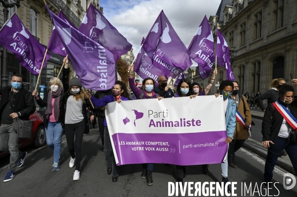 Animaux : Marche Contre La Fourrure 2020. Animals: March Against Fur 2020.