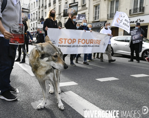 Animaux : Marche Contre La Fourrure 2020. Animals: March Against Fur 2020.