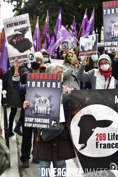 Animaux : Marche Contre La Fourrure 2020. Animals: March Against Fur 2020.