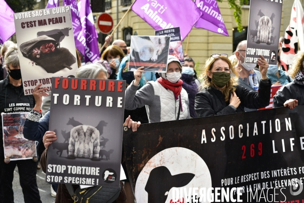 Animaux : Marche Contre La Fourrure 2020. Animals: March Against Fur 2020.