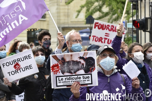 Animaux : Marche Contre La Fourrure 2020. Animals: March Against Fur 2020.