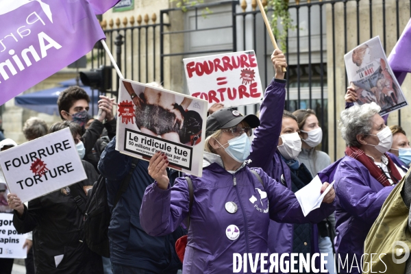 Animaux : Marche Contre La Fourrure 2020. Animals: March Against Fur 2020.