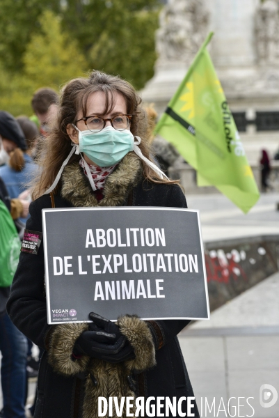 Animaux : Marche Contre La Fourrure 2020. Animals: March Against Fur 2020.