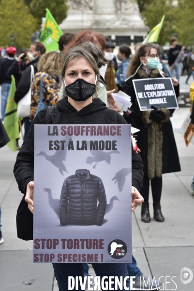 Animaux : Marche Contre La Fourrure 2020. Animals: March Against Fur 2020.