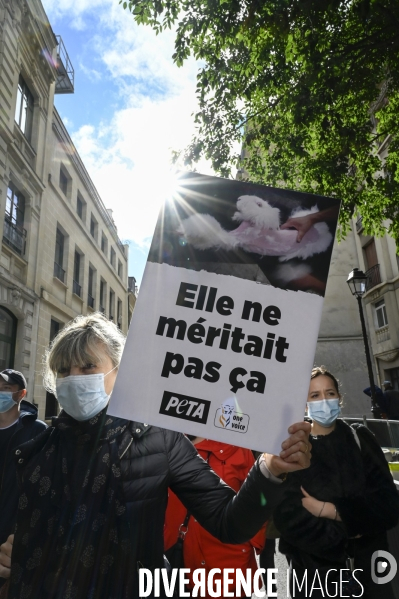 Animaux : Marche Contre La Fourrure 2020. Animals: March Against Fur 2020.