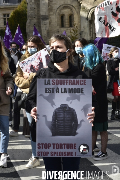 Animaux : Marche Contre La Fourrure 2020. Animals: March Against Fur 2020.