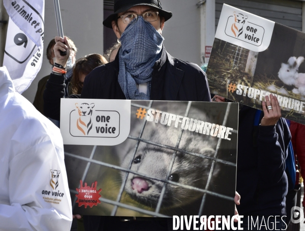 Animaux : Marche Contre La Fourrure 2020. Animals: March Against Fur 2020.