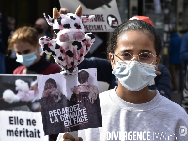 Animaux : Marche Contre La Fourrure 2020. Animals: March Against Fur 2020.