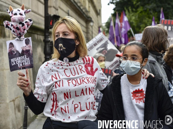 Animaux : Marche Contre La Fourrure 2020. Animals: March Against Fur 2020.