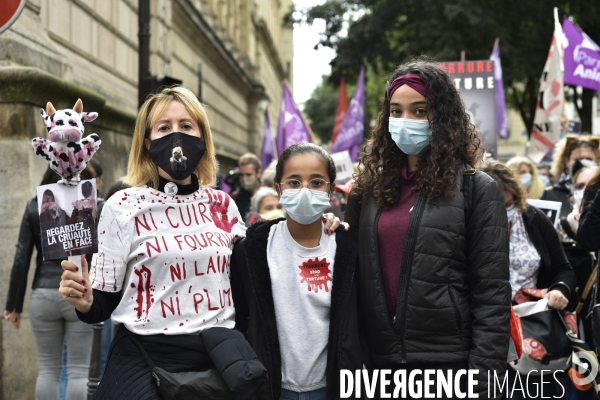 Animaux : Marche Contre La Fourrure 2020. Animals: March Against Fur 2020.