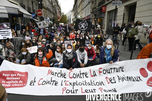 Animaux : Marche Contre La Fourrure 2020. Animals: March Against Fur 2020.