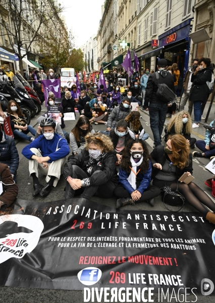 Animaux : Marche Contre La Fourrure 2020. Animals: March Against Fur 2020.