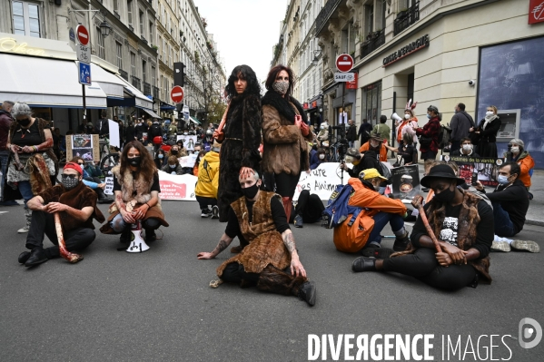 Animaux : Marche Contre La Fourrure 2020. Animals: March Against Fur 2020.