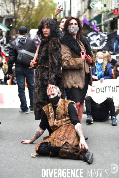 Animaux : Marche Contre La Fourrure 2020. Animals: March Against Fur 2020.