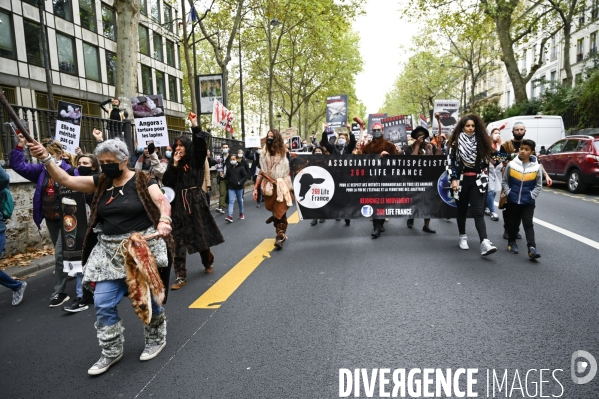 Animaux : Marche Contre La Fourrure 2020. Animals: March Against Fur 2020.