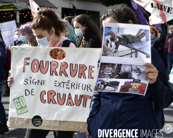 Animaux : Marche Contre La Fourrure 2020. Animals: March Against Fur 2020.