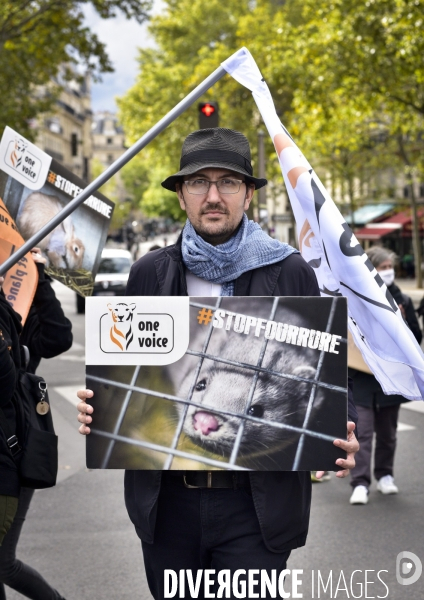 Animaux : Marche Contre La Fourrure 2020. Animals: March Against Fur 2020.