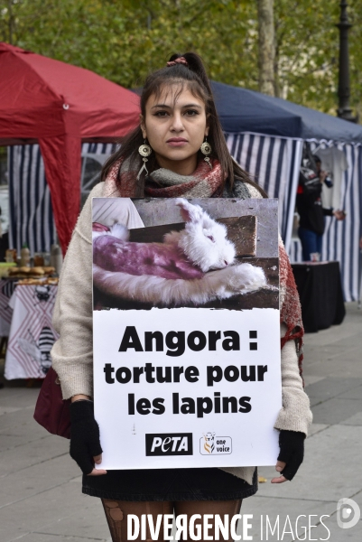 Animaux : Marche Contre La Fourrure 2020. Animals: March Against Fur 2020.