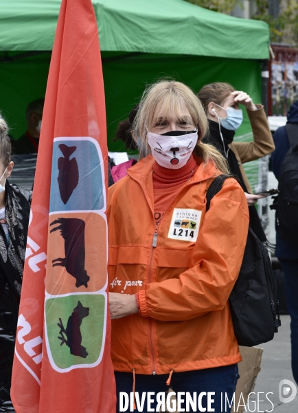 Animaux : Marche Contre La Fourrure 2020. Animals: March Against Fur 2020.