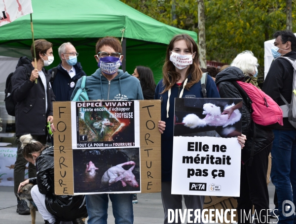 Animaux : Marche Contre La Fourrure 2020. Animals: March Against Fur 2020.