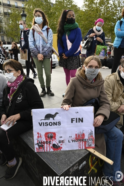 Animaux : Marche Contre La Fourrure 2020. Animals: March Against Fur 2020.