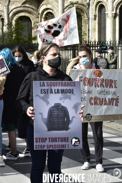 Animaux : Marche Contre La Fourrure 2020. Animals: March Against Fur 2020.