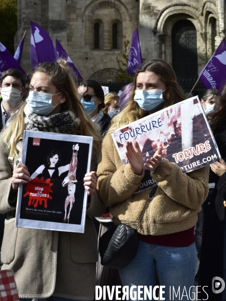 Animaux : Marche Contre La Fourrure 2020. Animals: March Against Fur 2020.