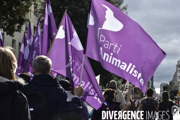 Animaux : Marche Contre La Fourrure 2020. Animals: March Against Fur 2020.