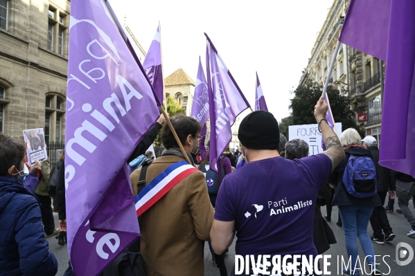 Animaux : Marche Contre La Fourrure 2020. Animals: March Against Fur 2020.