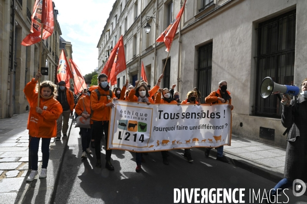 Animaux : Marche Contre La Fourrure 2020. Animals: March Against Fur 2020.