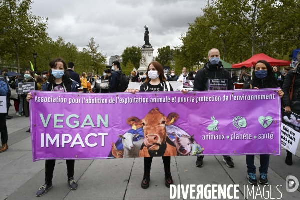 Animaux : Marche Contre La Fourrure 2020. Animals: March Against Fur 2020.