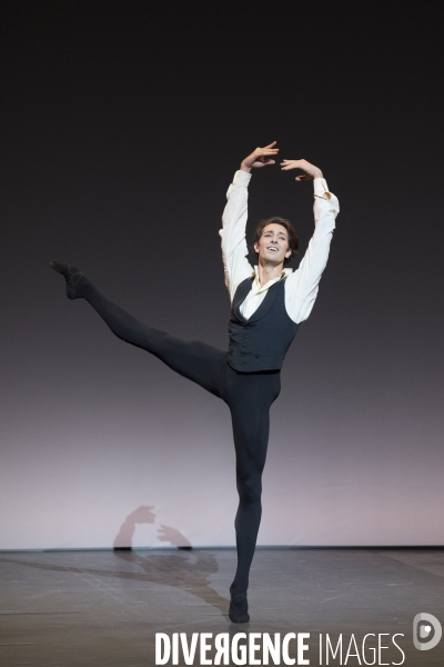 La dame aux camelias de john neumeier
