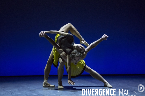 Herman Schmerman de William Forsythe