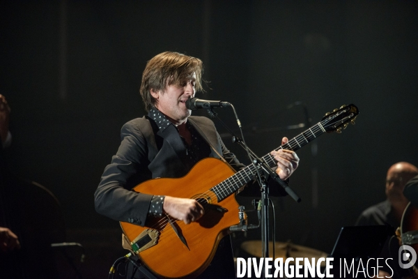 Thomas Dutronc en concert.