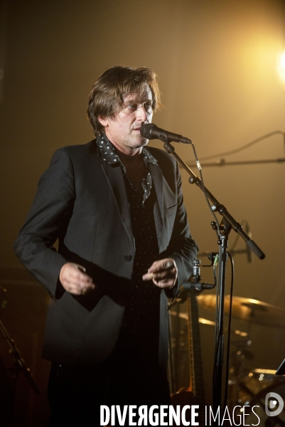 Thomas Dutronc en concert.