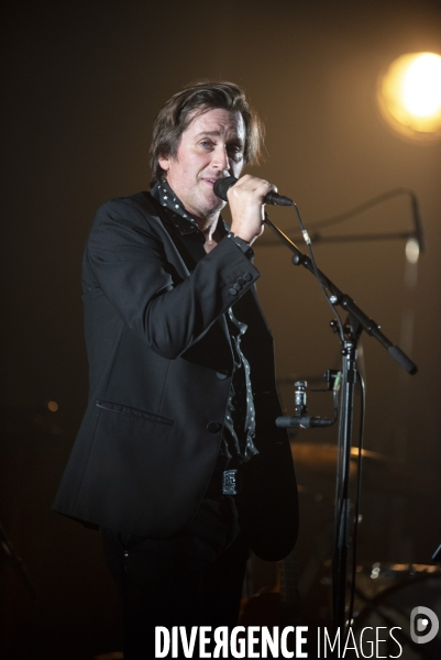 Thomas Dutronc en concert.