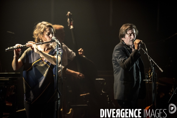 Thomas Dutronc en concert.