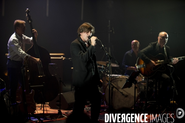 Thomas Dutronc en concert.