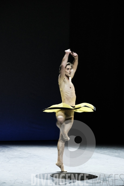 Herman Schmerman / William Forsythe / étoiles de l opéra