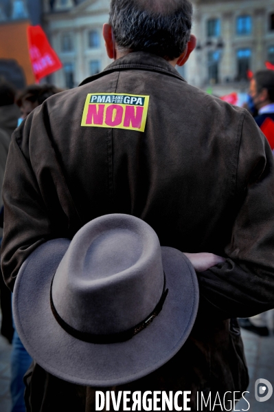 Manifestation des opposants au projet de loi bioéthique