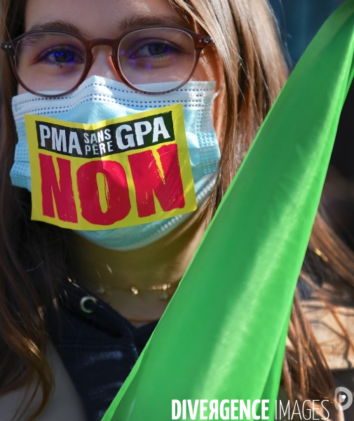 Manifestation des opposants au projet de loi bioéthique