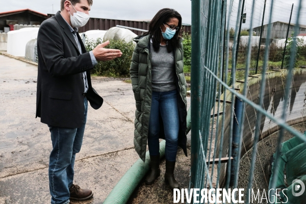 Audrey pulvar visite la ferme de grignon