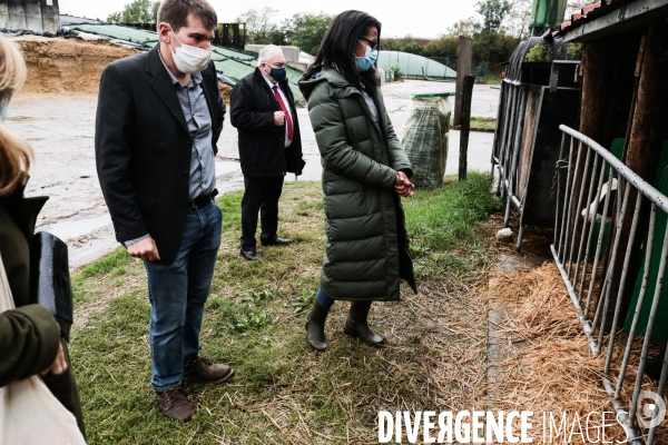 Audrey pulvar visite la ferme de grignon