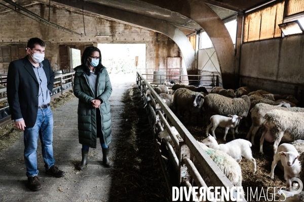 Audrey pulvar visite la ferme de grignon