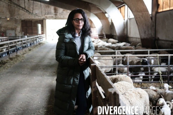 Audrey pulvar - portrait